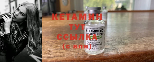 шишки Вяземский