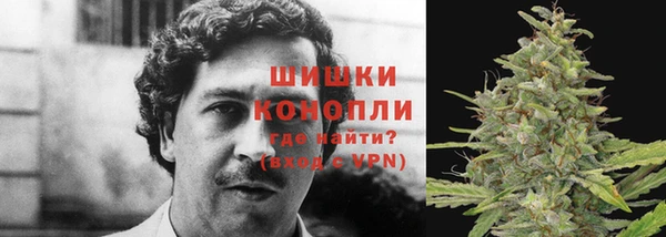 шишки Вяземский