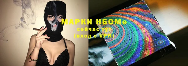 шишки Вяземский