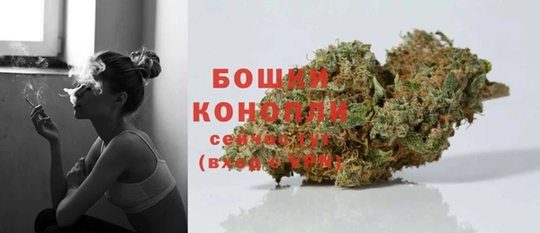 шишки Вяземский