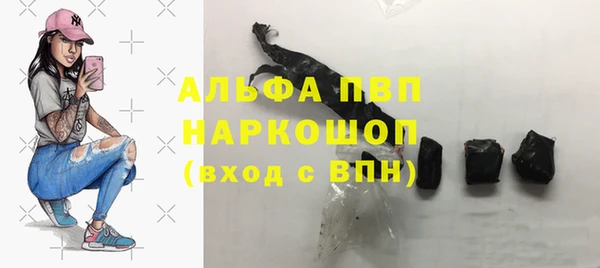 шишки Вяземский