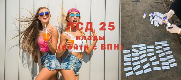 шишки Вяземский
