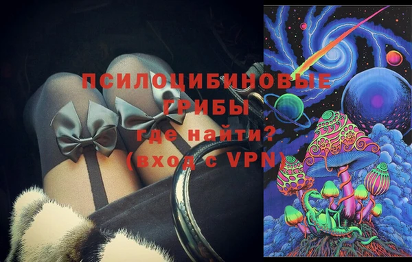 шишки Вяземский
