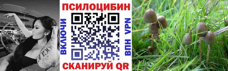 Галлюциногенные грибы Psilocybine cubensis  Стерлитамак 